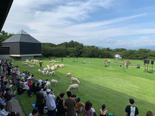 Movie: THE TETORAPOTZ Special Live Performance in Hara Museum ARC
