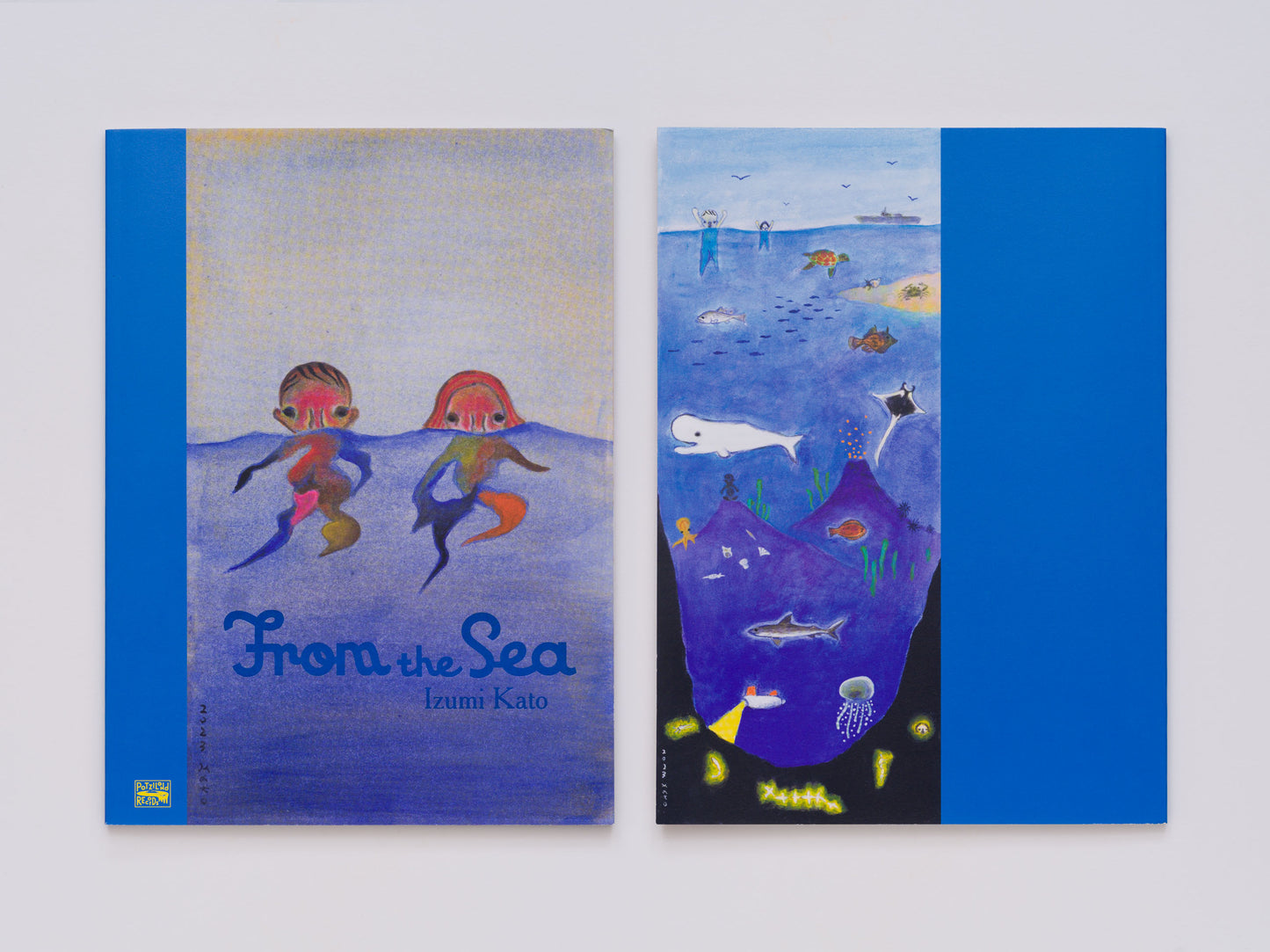 Book: Izumi kato "From the Sea (Normal edition)"